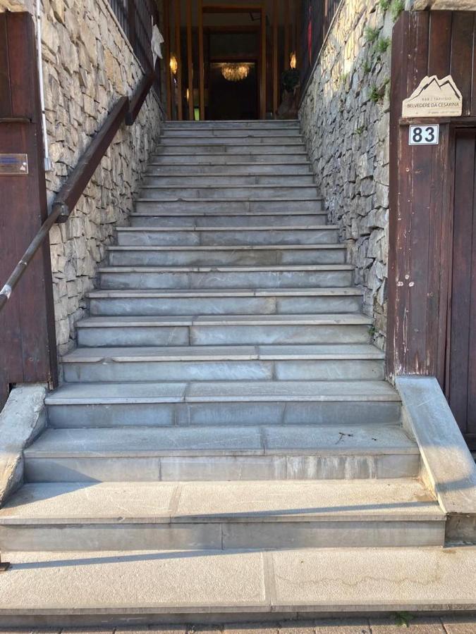 Belvedere Da Cesarina Tarvis Exterior foto